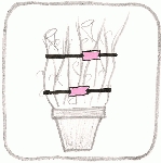 Beschreibung: Beschreibung: Beschreibung: Beschreibung: Beschreibung: Beschreibung: http://www.stripclip.at/img/pic/stripclip_pic11b_blumenstock_thumb.jpg